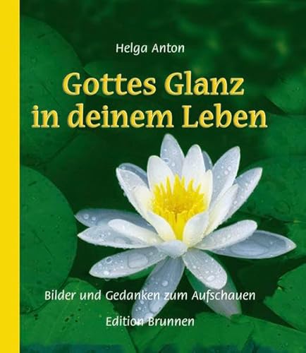 Beispielbild fr Gottes Glanz in deinem Leben: Bilder und Gedanken zum Aufschauen zum Verkauf von medimops