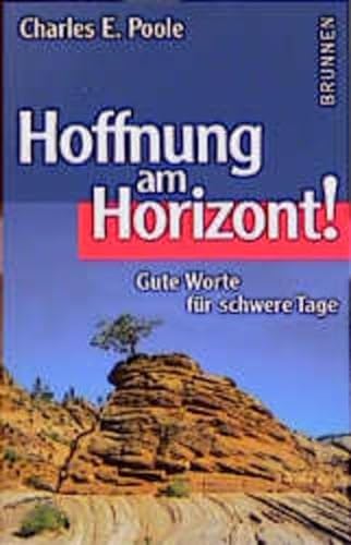 Imagen de archivo de Hoffnung am Horizont! a la venta por medimops