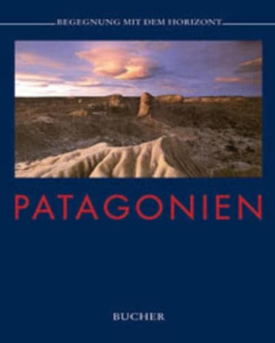 Stock image for Patagonien. Begegnung mit dem Horizont for sale by medimops