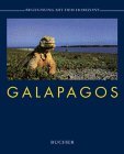 Stock image for Galapagos. Begegnung mit dem Horizont for sale by medimops