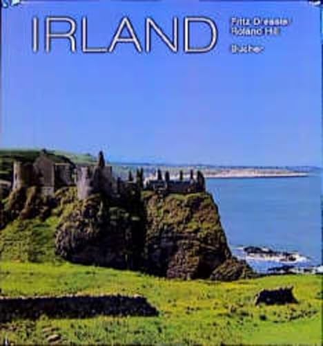 Stock image for Irland for sale by DER COMICWURM - Ralf Heinig