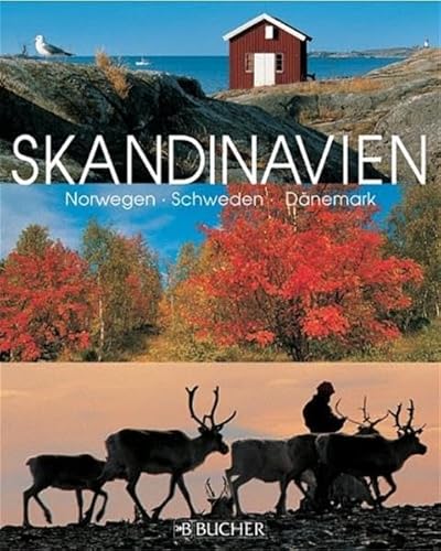 Beispielbild fr Skandinavien: Norwegen, Schweden, Dnemark zum Verkauf von medimops