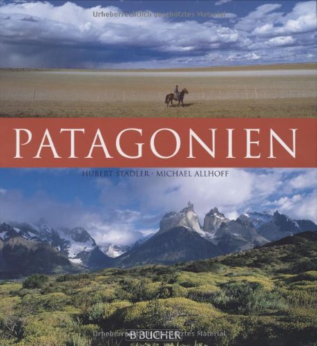 Stock image for Patagonien for sale by medimops