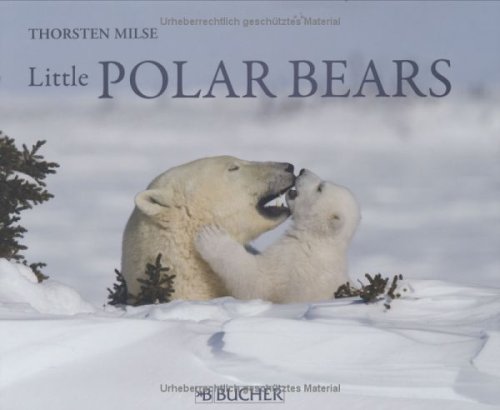 Beispielbild fr Little Polar Bears zum Verkauf von Better World Books