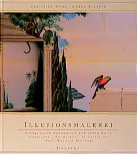 Stock image for Illusionsmalerei: Effektvolle Dekoration fr jeden Raum - Vorbilder, Techniken, Materialien for sale by medimops