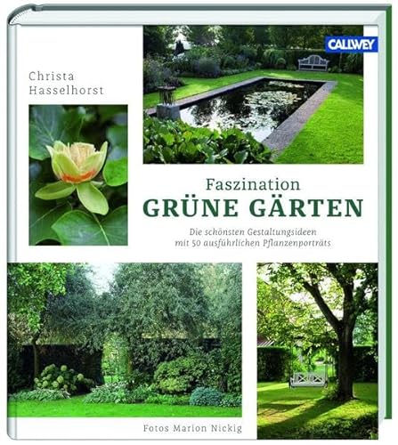 Imagen de archivo de Faszination Grne Grten: Die schnsten Gestaltungsideen mit ausfhrlichen Pflanzenportrts a la venta por medimops
