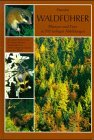 Stock image for Waldfhrer. Pflanzen und Tiere in 500 farbigen Abbildungen for sale by medimops