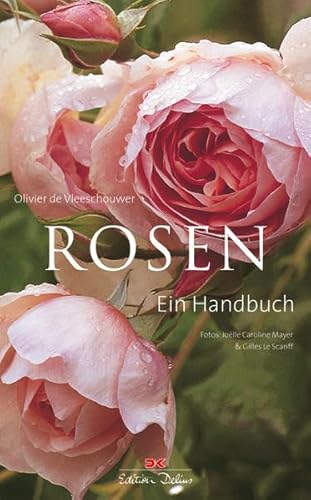 Imagen de archivo de Rosen: Ein Handbuch a la venta por Books From California