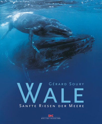 Wale - Sanfte Riesen der Meere