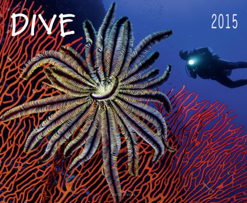 9783768837934: Dive 2015