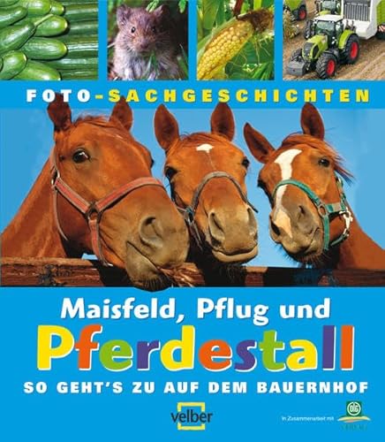 Beispielbild fr Maisfeld, Pflug und Pferdestall: So geht's zu auf dem Bauernhof zum Verkauf von medimops