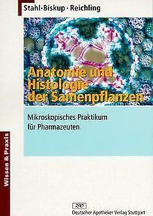 Imagen de archivo de Anatomie und Histologie der Samenpflanzen a la venta por medimops