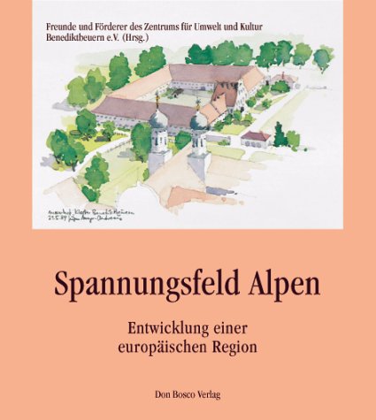 Stock image for Spannungsfeld Alpen. Entwicklung einer europäischen Region for sale by medimops