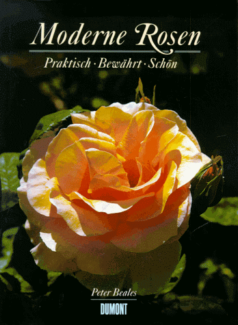 Stock image for Moderne Rosen. Praktisch - Bewhrt - Schn for sale by medimops