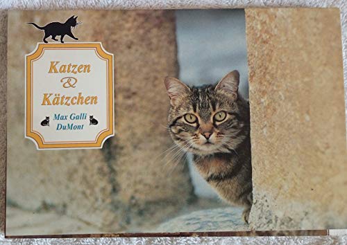 Postkartenbuch Katzen 30 Postkarten Tiere NEU 