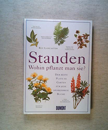 9783770143498: Stauden Wohin pflanzt man sie? : der beste Platz im Garten fuer jede mehrjaehrige Blume