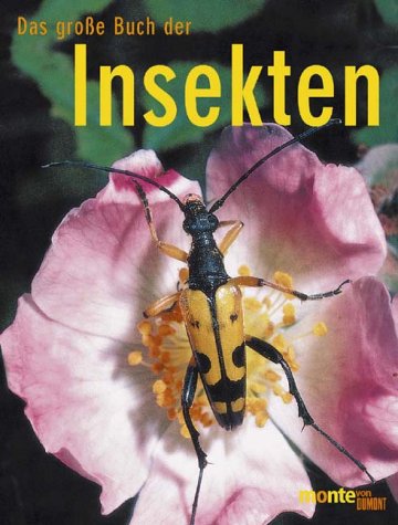 Beispielbild fr Das groe Buch der Insekten zum Verkauf von medimops