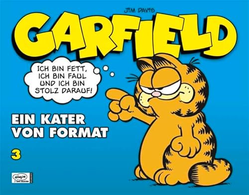 Imagen de archivo de Garfield SC 03: Ein Kater von Format a la venta por medimops