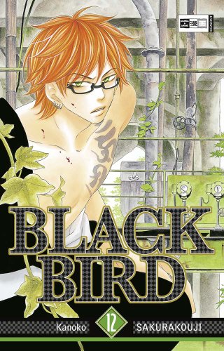 Black Bird 12 - Sakurakouji Kanoko