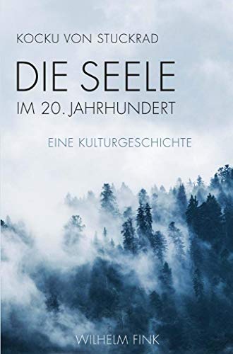 Stock image for Die Seele im 20. Jahrhundert for sale by Blackwell's