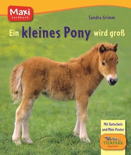 Beispielbild fr Ein kleines Pony wird gro: Mit Gutschein und Mini-Poster zum Verkauf von medimops