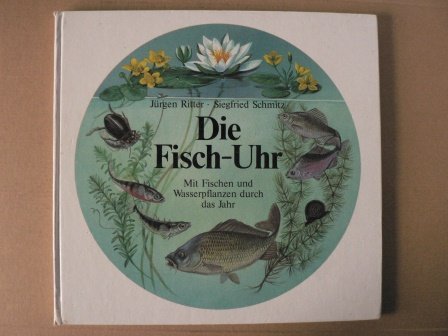 Stock image for Die Fisch- Uhr. Mit Fischen und Wasserpflanzen durch das Jahr. ( Ab 6 J.) for sale by medimops