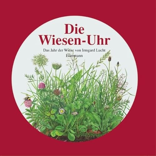 Imagen de archivo de Die Wiesen- Uhr. Das Jahr der Wiese. ( Ab 5 J.). a la venta por HPB-Red