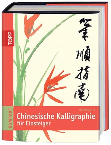 Imagen de archivo de Chinesische Kalligraphie fr Einsteiger a la venta por medimops