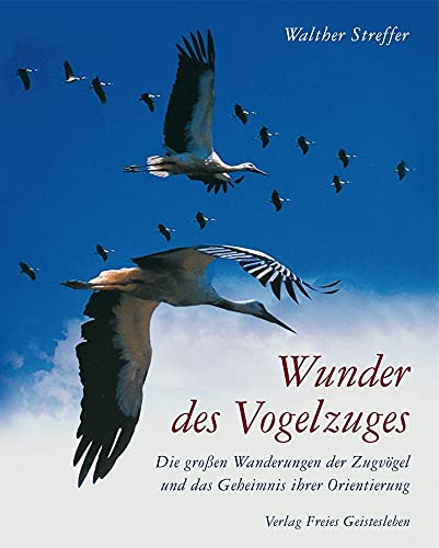 Wunder des Vogelzuges: Die großen Wanderungen der Zugvögel und das Geheimnis ihrer Orientierung - Streffer, Walther