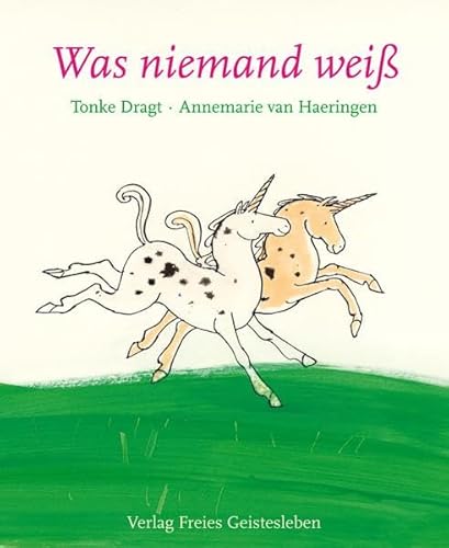 Was niemand weiÃŸ (9783772521898) by Dragt, Tonke