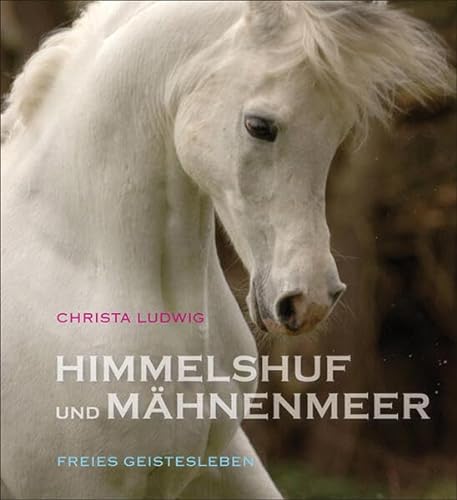 Imagen de archivo de Himmelshuf und Mhnenmeer: Drei Pferde-Fotogeschichten a la venta por medimops