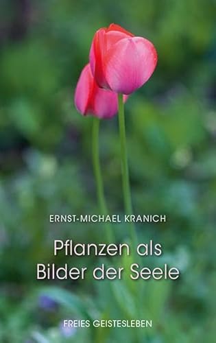 Imagen de archivo de Pflanzen als Bilder der Seele -Language: german a la venta por GreatBookPrices