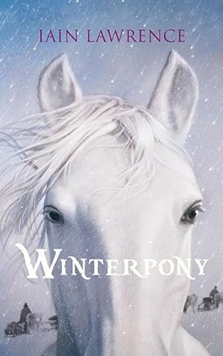 9783772529689: Winterpony