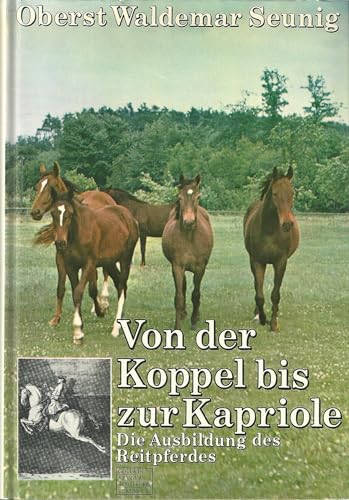 Beispielbild fr Von der Koppel bis zur Kapriole zum Verkauf von Gerald Wollermann