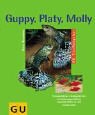 Beispielbild fr Guppy, Platy, Molly und andere Lebendgebrende zum Verkauf von medimops