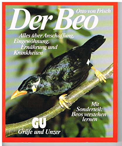 Stock image for Der Beo, GU Tier-Ratgeber von Frisch, Otto for sale by tomsshop.eu