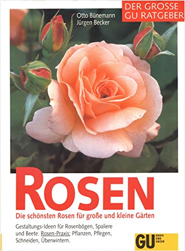 Stock image for Der grosse GU Ratgeber Rosen. Die schnsten Rosen fr grosse und kleine Grten. Gestaltungs-Ideen fr Rosenbgen, Spaliere und Beete. Rosen-Praxis: Pflanzen, Pflegen, Schneiden, berwintern for sale by medimops