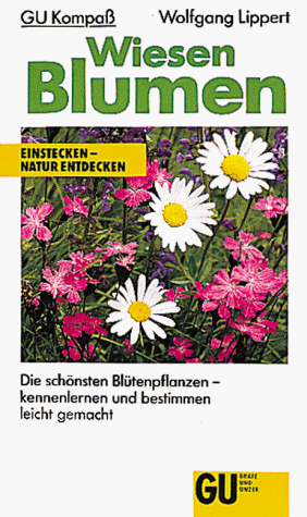 Stock image for Wiesenblumen for sale by Versandantiquariat Felix Mcke
