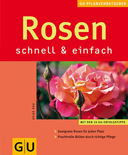 Beispielbild fr Rosen schnell & einfach Rau, Heide zum Verkauf von tomsshop.eu
