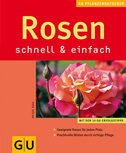 Stock image for Rosen schnell & einfach Rau, Heide for sale by tomsshop.eu