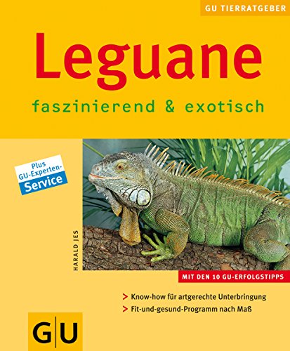 Stock image for Leguane . neue Tierratgeber for sale by medimops