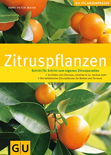 Stock image for Zitruspflanzen: Schritt fr Schritt zum eigenen Zitrusparadies. GU Pflanzenpraxis (GU PraxisRatgeber Garten) for sale by medimops