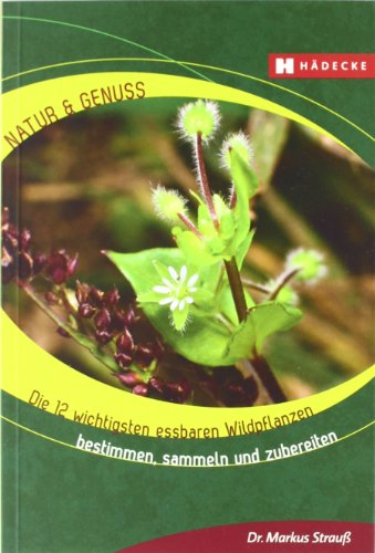 Stock image for Die 12 wichtigsten essbaren Wildpflanzen: Bestimmen, sammeln und zubereiten for sale by medimops