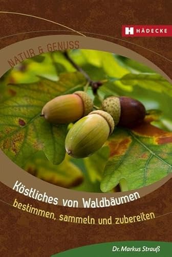 Stock image for Kstliches von Waldbumen: Bestimmen, sammeln und zubereiten for sale by medimops