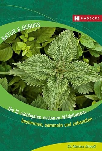 Stock image for Die 12 wichtigsten essbaren Wildpflanzen -Language: german for sale by GreatBookPrices