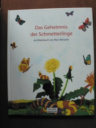9783775136273: Das Geheimnis der Schmetterlinge. ( Ab 4 J.)