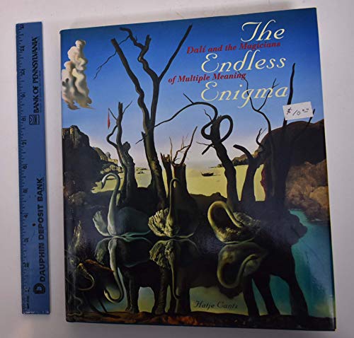 Imagen de archivo de The Endless Enigma: Dal and the Magicians of Multiple Meaning a la venta por Veronica's Books