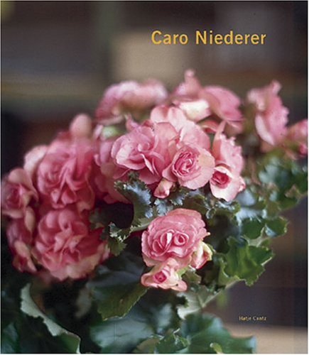 Beispielbild fr Caro Niederer zum Verkauf von medimops