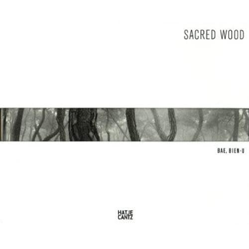 Beispielbild fr Bae Bien-U: Sacred Wood (English) zum Verkauf von Antiquariat UEBUE