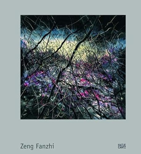 Imagen de archivo de Zeng Fanzhi a la venta por Irish Booksellers